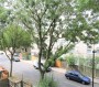 Roman Way, Enfield, Greater London - Thumbnail 15