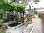 Albany Park Avenue, Enfield, Greater London - Thumbnail 21